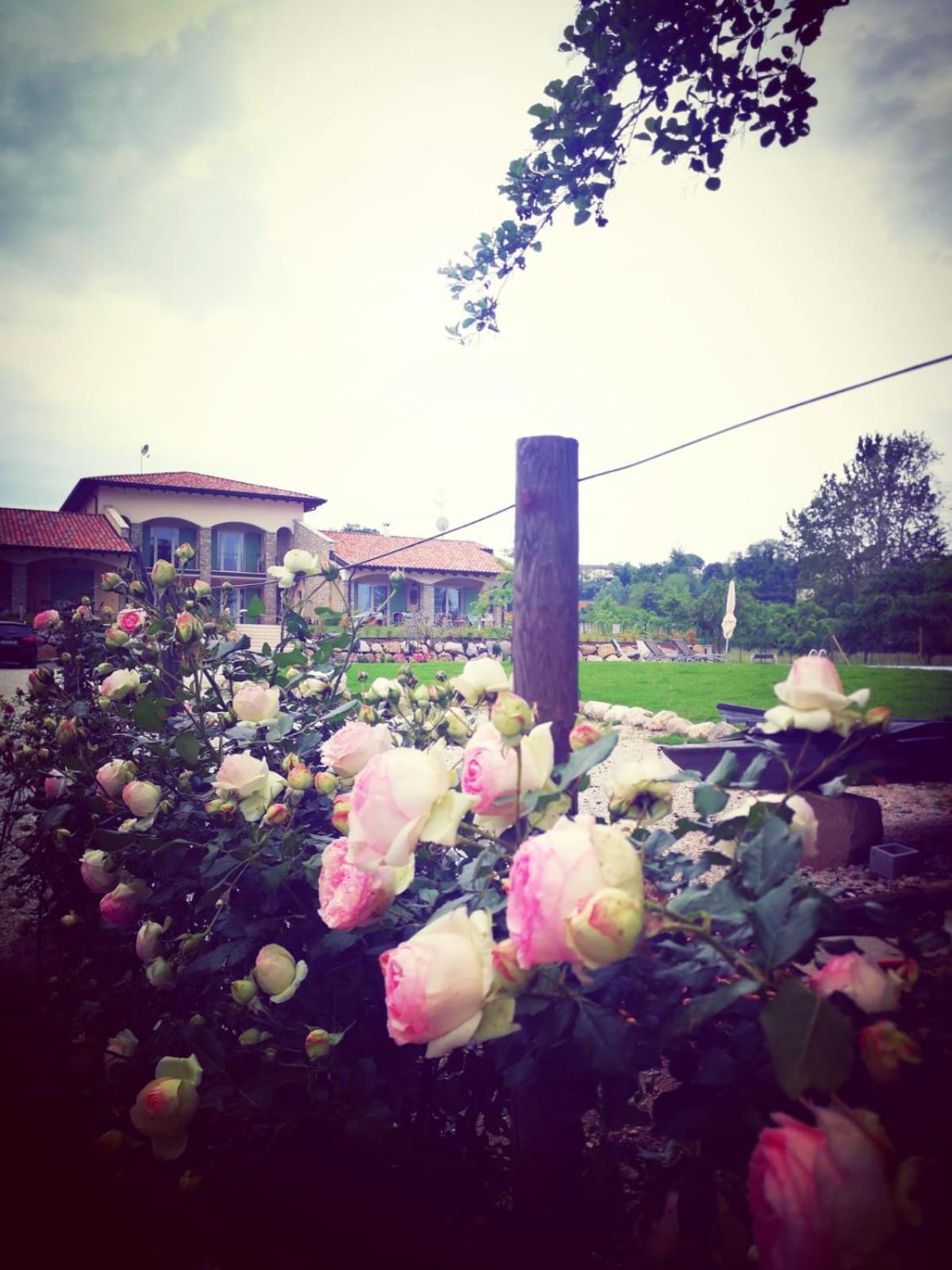 Orchidea Del Garda Rooms & Apartments Peschiera del Garda Eksteriør billede